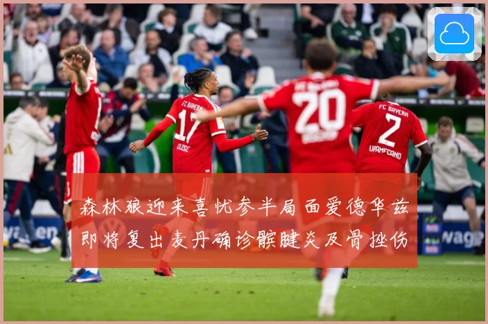 森林狼迎来喜忧参半局面爱德华兹即将复出麦丹确诊髌腱炎及骨挫伤成长观察